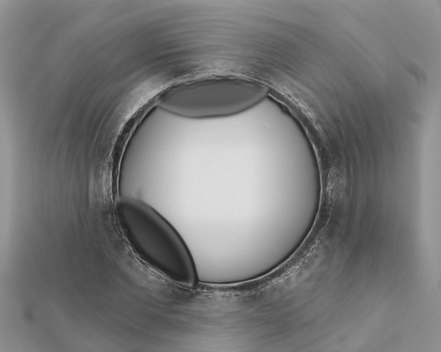 X0000112180877200908281359