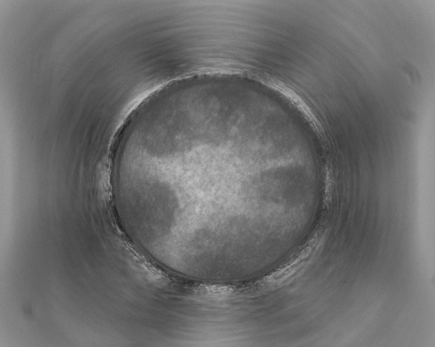 X0000112180878200908281359