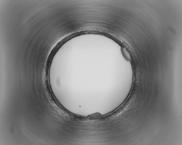 X0000112180880200908281359