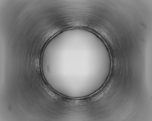 X0000112180881200908281359