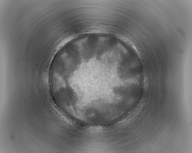 X0000112180882200908281359