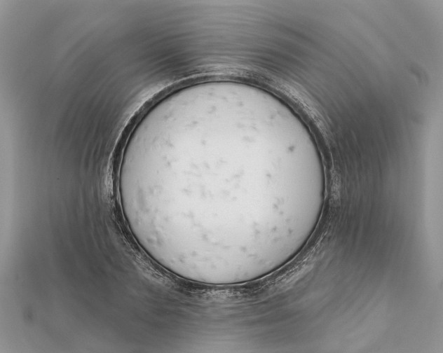 X0000112180883200908281359