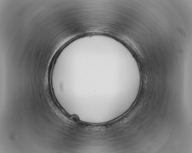 X0000112180884200908281359