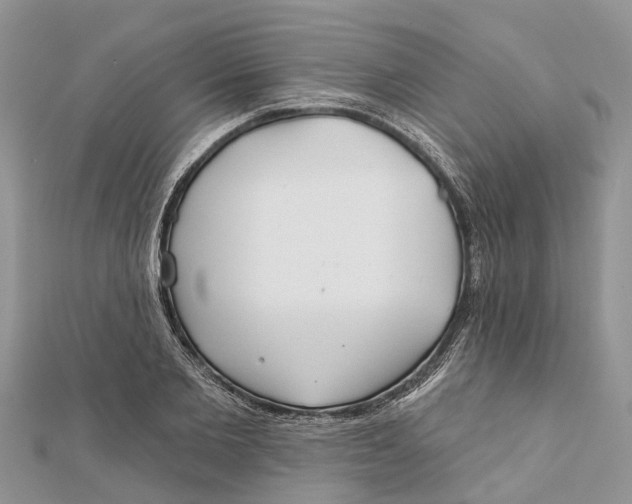 X0000112180885200908281359