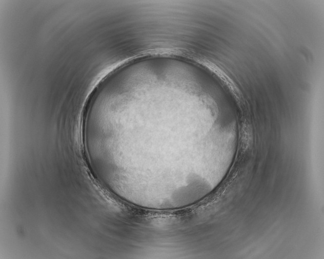 X0000112180886200908281359