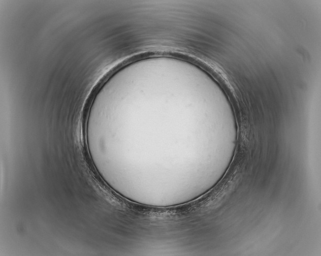 X0000112180887200908281359