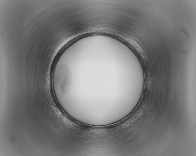 X0000112180888200908281359