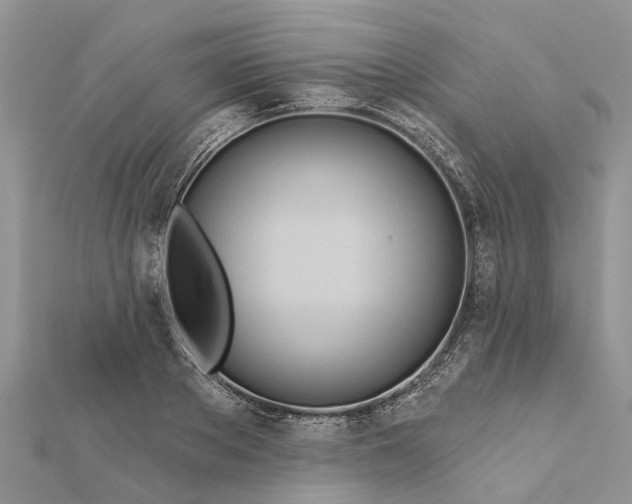 X0000112180889200908281359