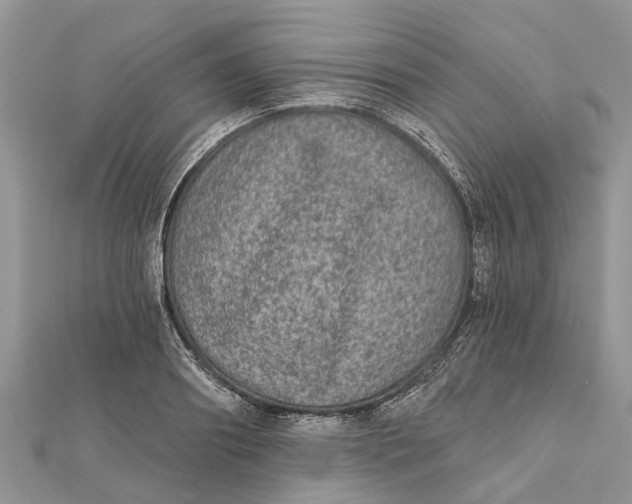 X0000112180890200908281359