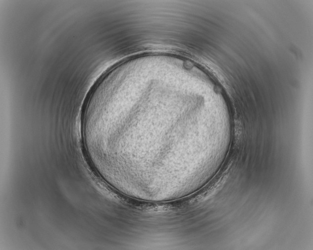 X0000112180891200908281359