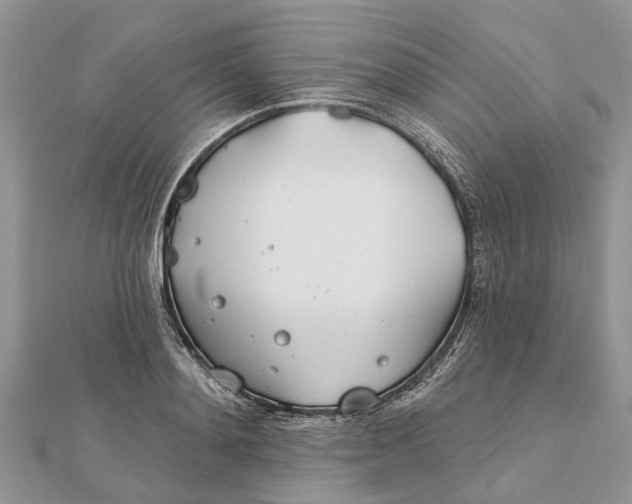 X0000112180892200908281359