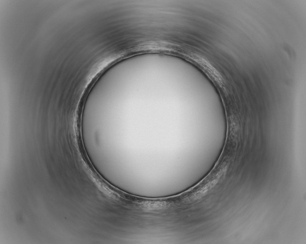 X0000112180893200908281359