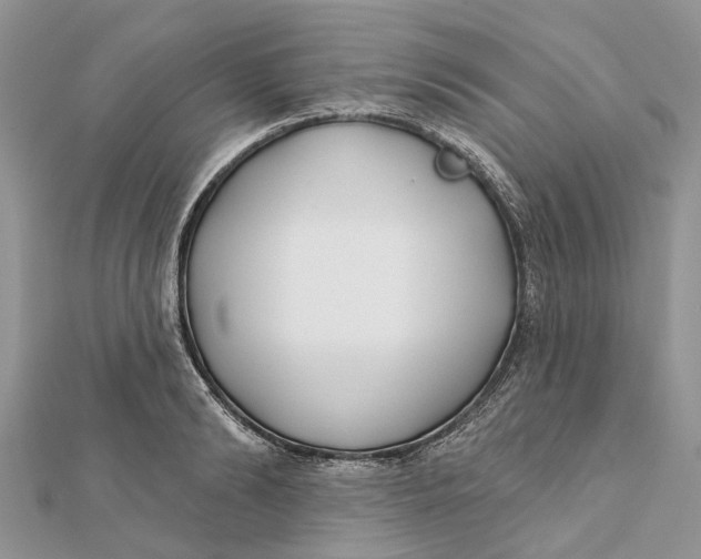 X0000112180894200908281359