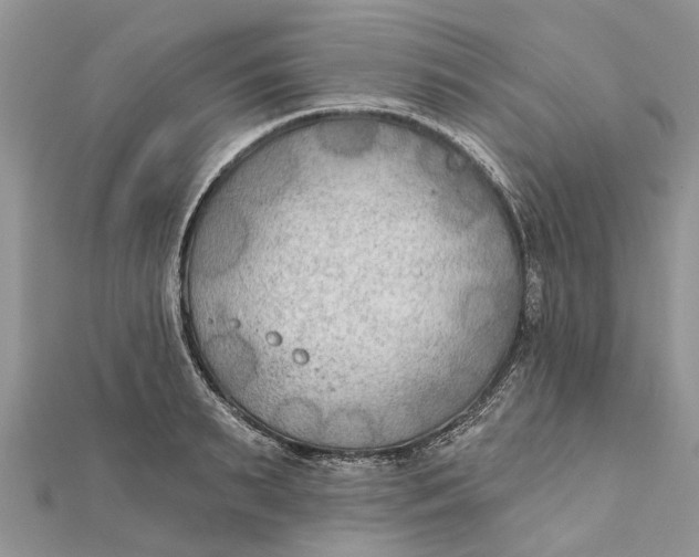 X0000112180895200908281359