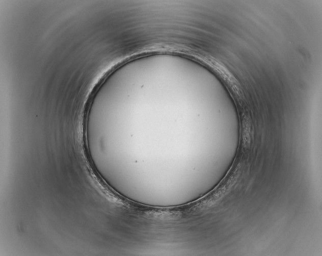 X0000112180896200908281359