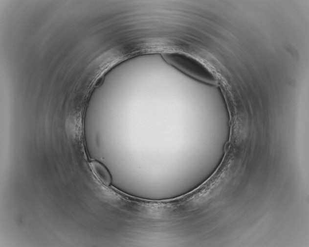 X0000112180897200908281359