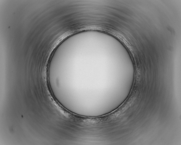 X0000112180898200908281359