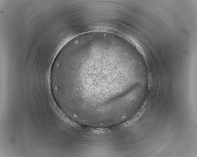 X0000112180899200908281359