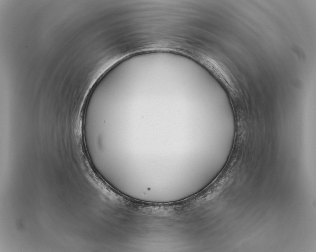 X0000112180900200908281359