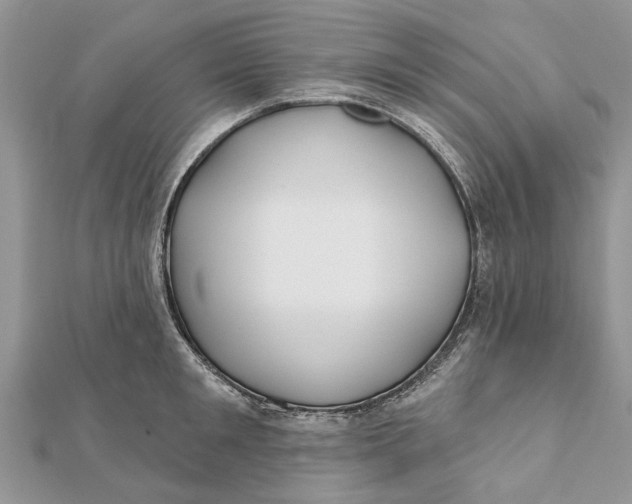 X0000112180901200908281359