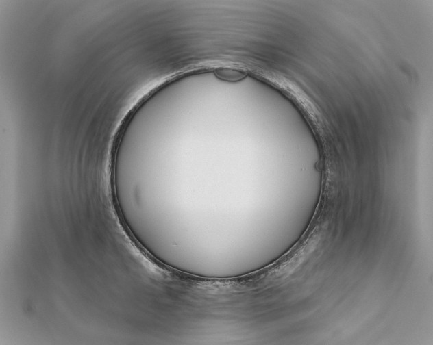 X0000112180902200908281359