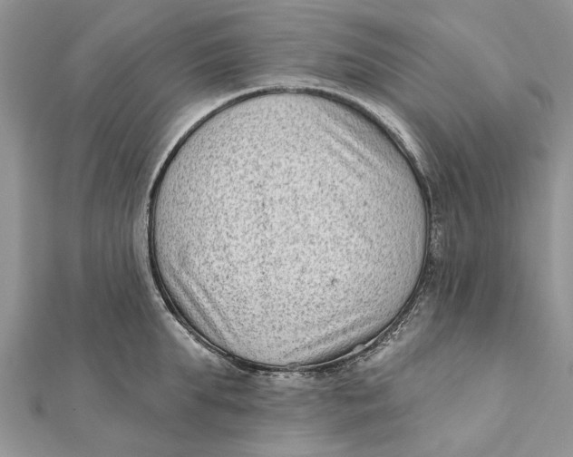 X0000112180903200908281359