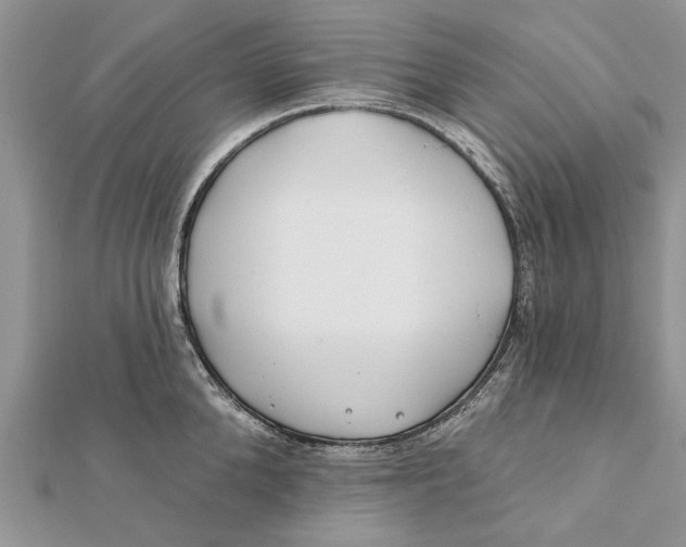 X0000112180904200908281359