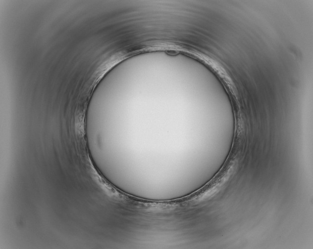 X0000112180905200908281359