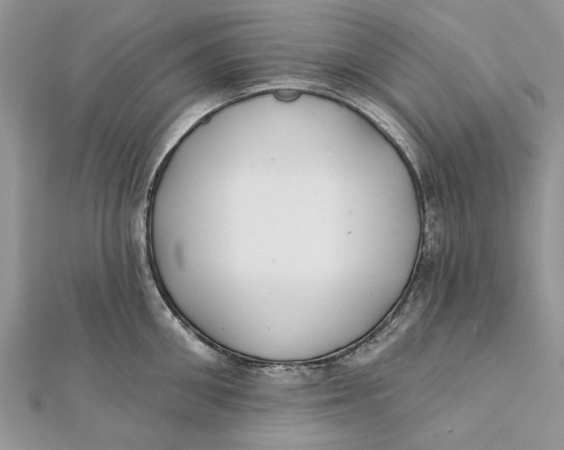 X0000112180906200908281359