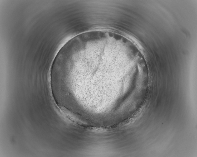 X0000112180907200908281359