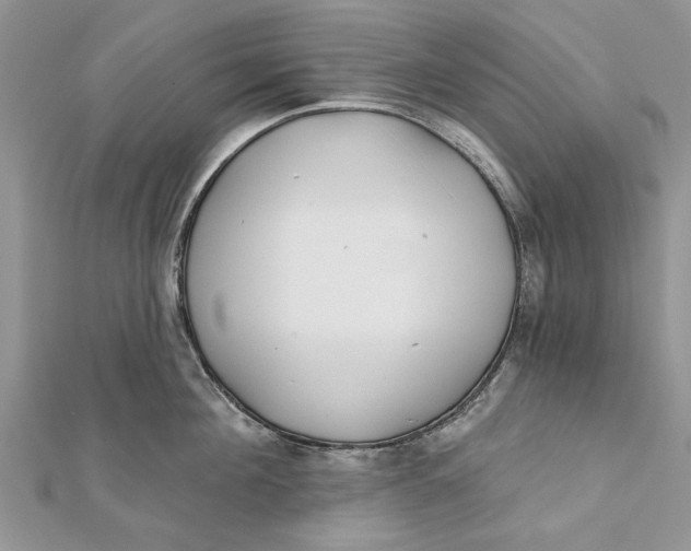 X0000112180908200908281359