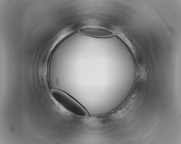 X0000112180909200908281359