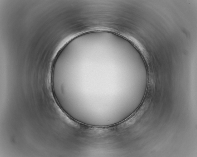 X0000112180910200908281359