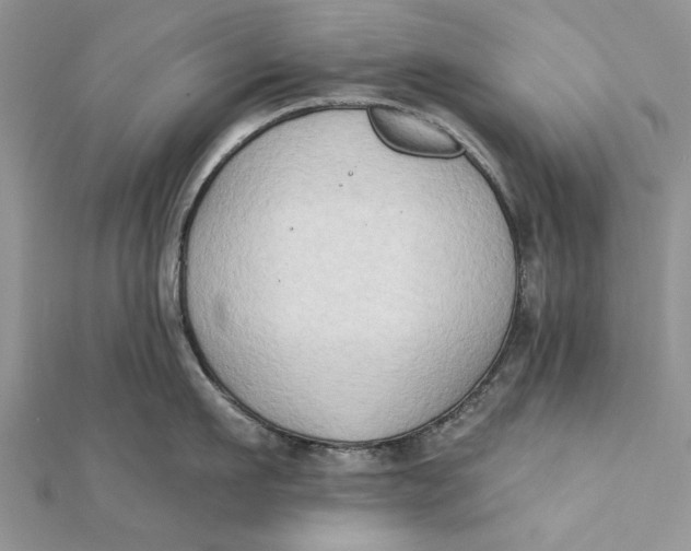 X0000112180911200908281359