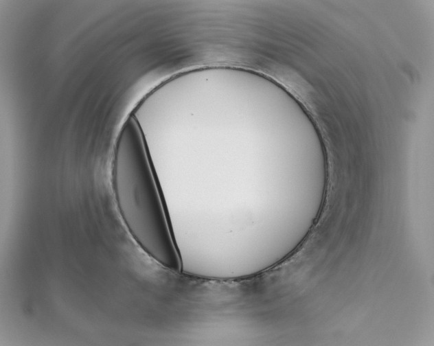 X0000112180912200908281359