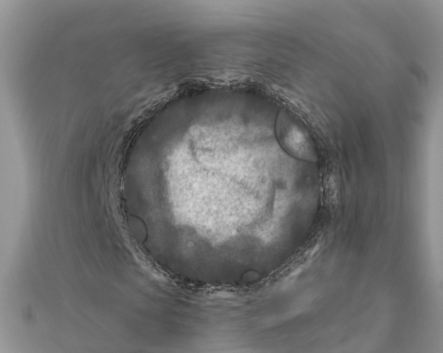 X0000112180913200908281358