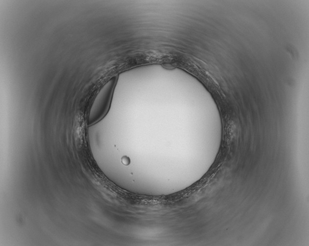 X0000112180914200908281358