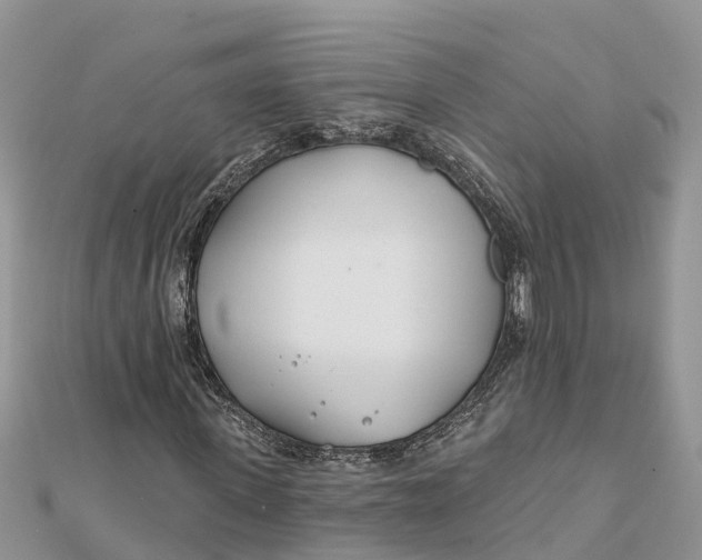 X0000112180915200908281358