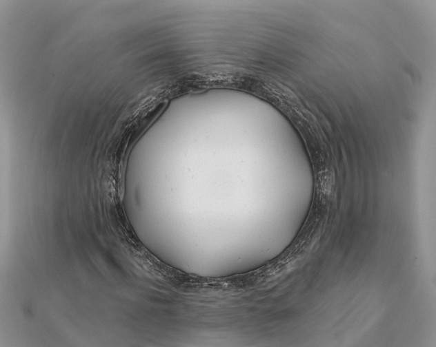 X0000112180916200908281358