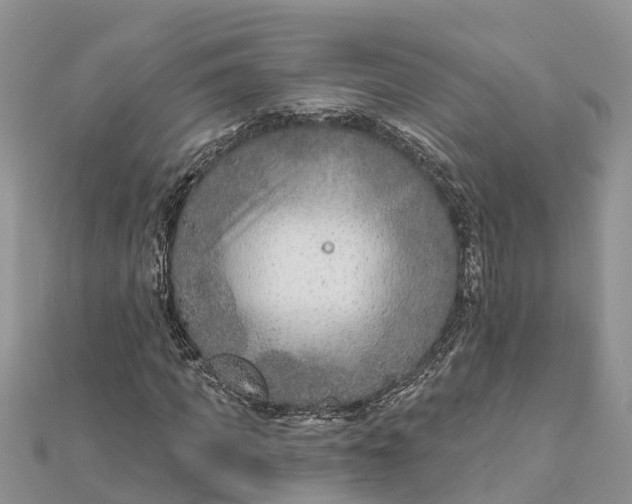 X0000112180917200908281358