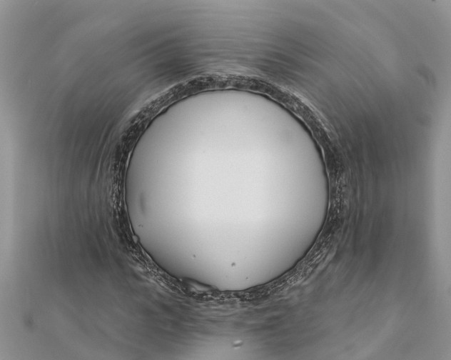 X0000112180919200908281358