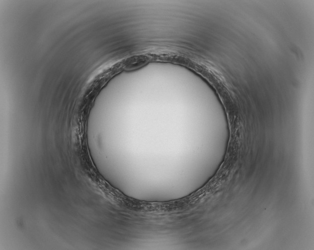 X0000112180920200908281358