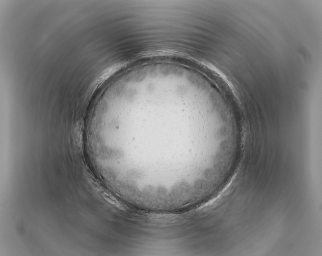 X0000112180921200908281358