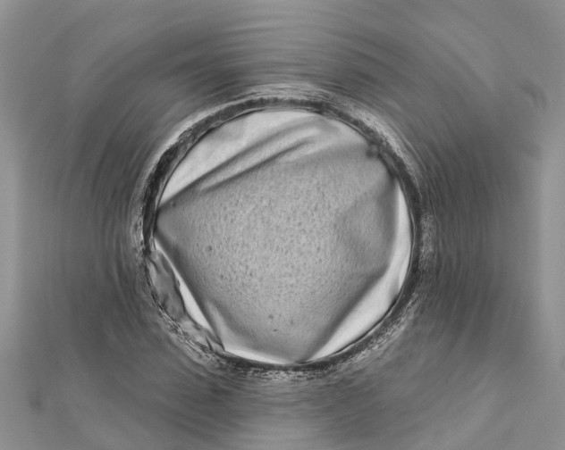 X0000112180923200908281358