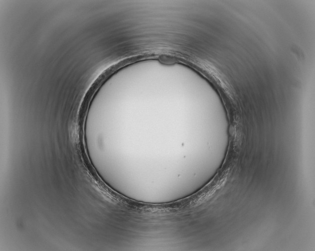 X0000112180924200908281358