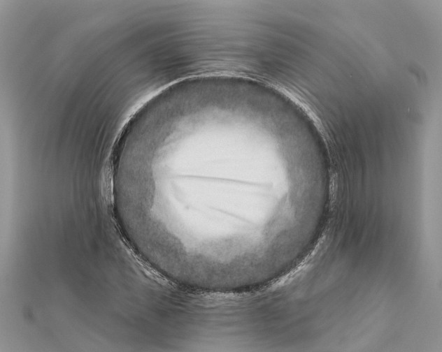 X0000112180925200908281358