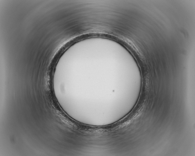 X0000112180926200908281358