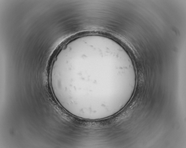 X0000112180927200908281358