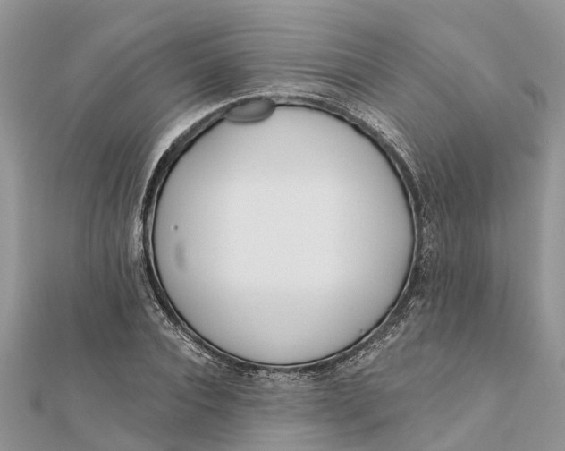 X0000112180928200908281358