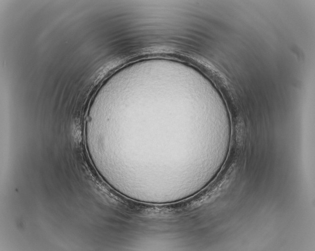 X0000112180929200908281358